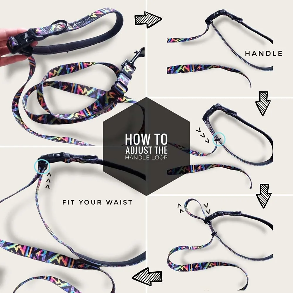 Boss & Olly Convertible Multi-Functional Dog Leash (Aztec Rainbow)