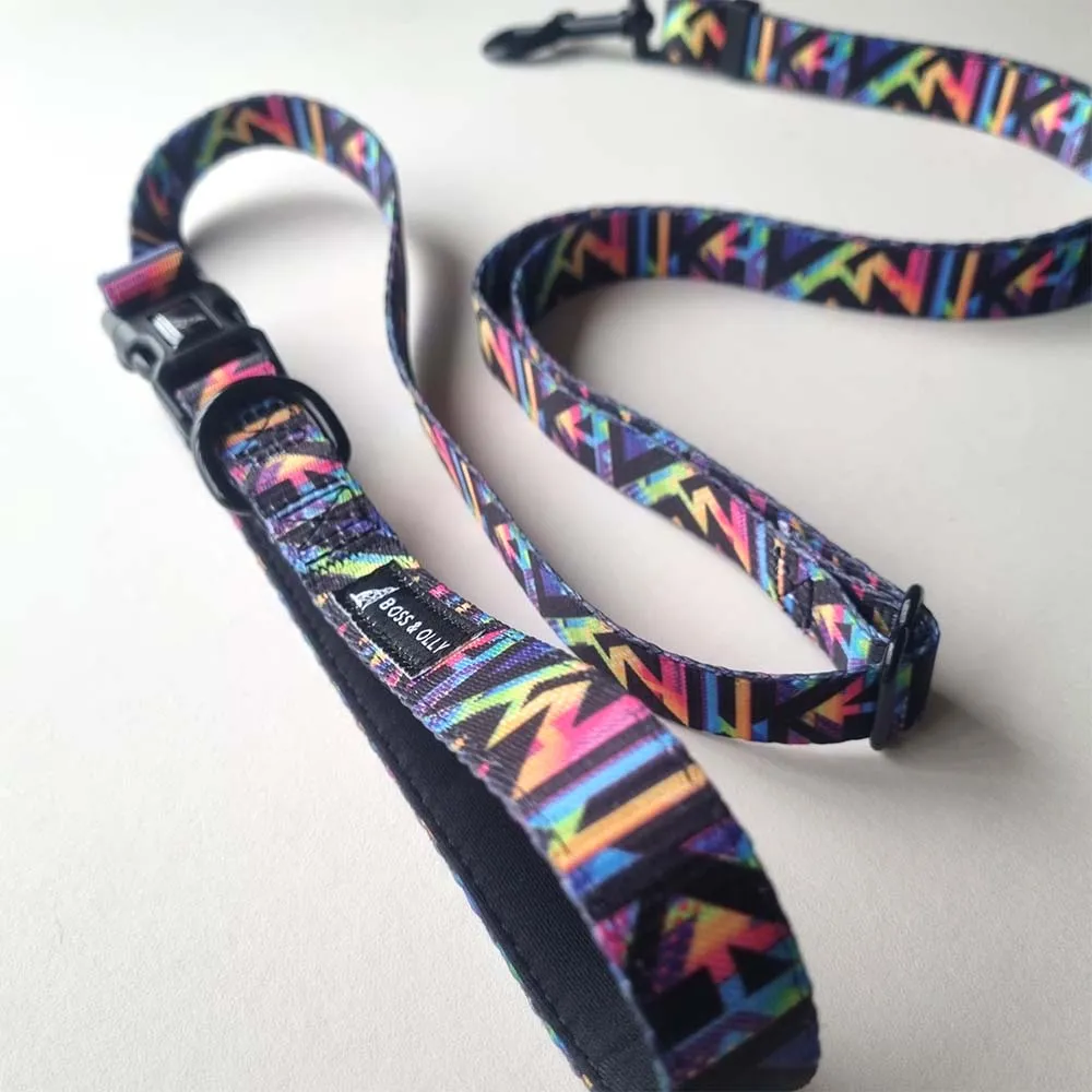 Boss & Olly Convertible Multi-Functional Dog Leash (Aztec Rainbow)