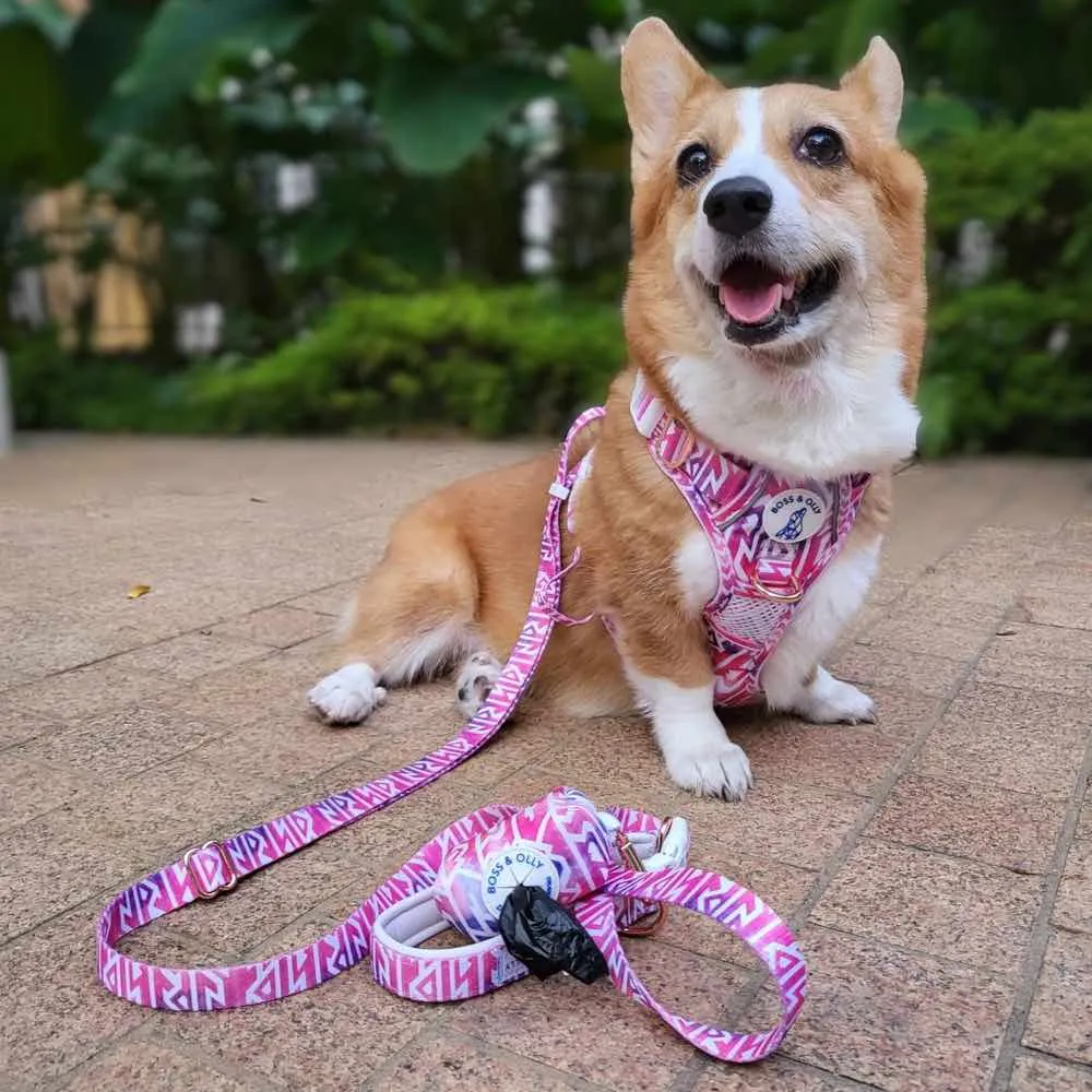Boss & Olly Convertible Multi-Functional Dog Leash (Fruity Sorbet)