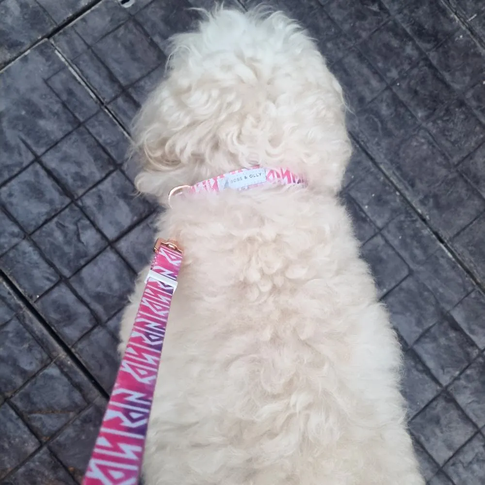 Boss & Olly Convertible Multi-Functional Dog Leash (Fruity Sorbet)