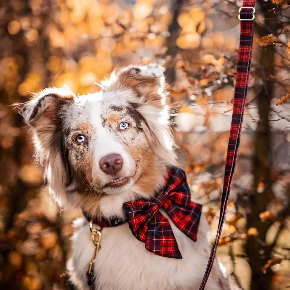 Boss & Olly Convertible Multi-Functional Dog Leash (Lumberjack Plaids)