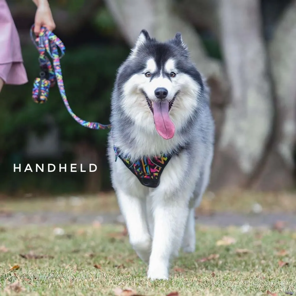 Boss & Olly Convertible Multi-Functional Dog Leash (Midnight Dreams)