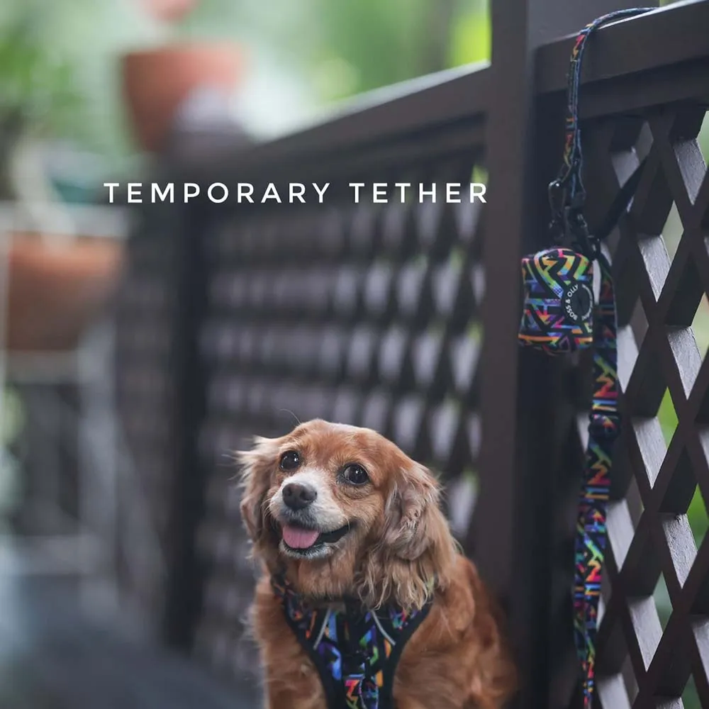 Boss & Olly Convertible Multi-Functional Dog Leash (Midnight Dreams)