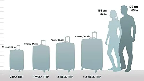 Briggs & Riley Torq Hardside Carry On Luggage with Spinner Wheels