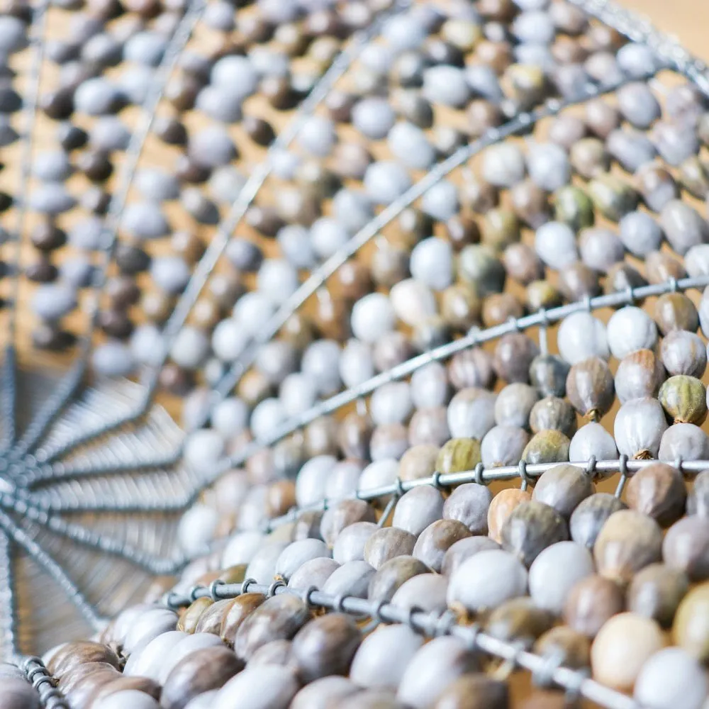 Lucky Seed Bowl